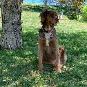 Meet your Posher, Fate